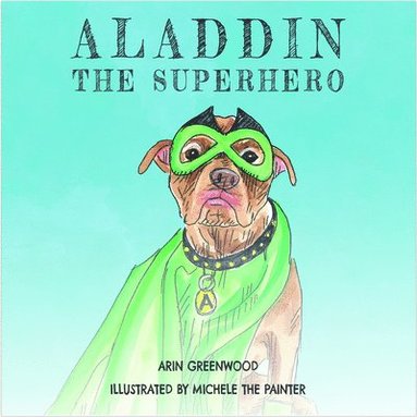 bokomslag Aladdin the Superhero