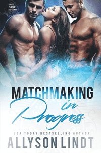 bokomslag Matchmaking in Progress
