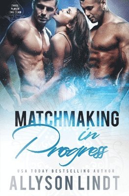 bokomslag Matchmaking in Progress