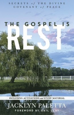 bokomslag The Gospel IS Rest