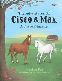 bokomslag The Adventures Of Cisco & Max