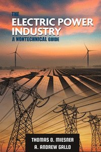 bokomslag The Electric Power Industry