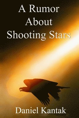 bokomslag Rumor About Shooting Stars
