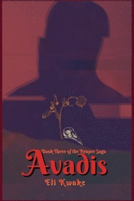 bokomslag Avadis