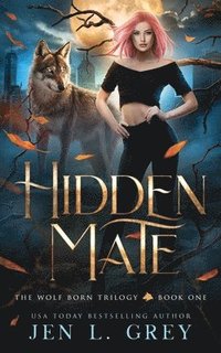 bokomslag Hidden Mate