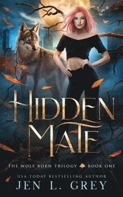 Hidden Mate 1