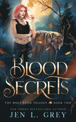 bokomslag Blood Secrets