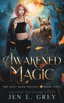 Awakened Magic 1