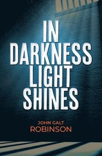 bokomslag In Darkness Light Shines