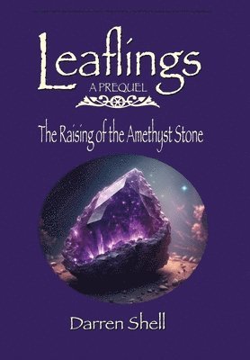 bokomslag The Raising of the Amethyst Stone