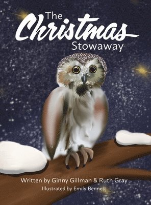 bokomslag Christmas Stowaway