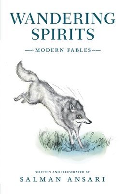 bokomslag Wandering Spirits