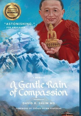 bokomslag A Gentle Rain of Compassion