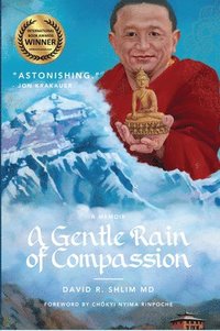 bokomslag A Gentle Rain of Compassion