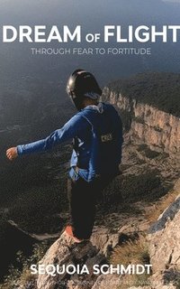 bokomslag Dream of Flight
