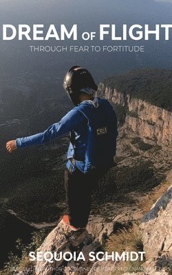 bokomslag Dream of Flight