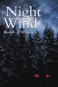 bokomslag Night Wind