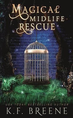 Magical Midlife Rescue