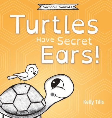 Turtles Have Secret Ears 1