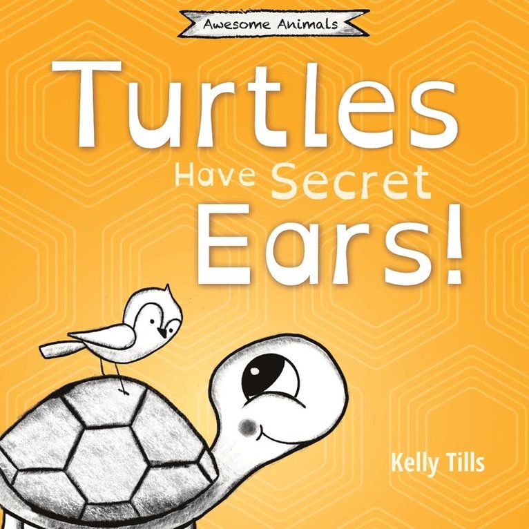 Turtles Have Secret Ears 1