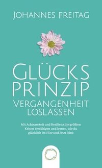 bokomslag Glücksprinzip - Vergangenheit loslassen