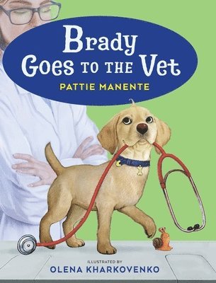 Brady Goes to the Vet 1