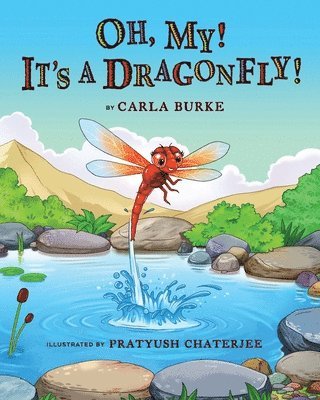 Oh my! It's A dragonfly! 1