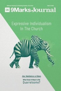 bokomslag Expressive Individualism in the Church
