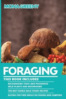 bokomslag Foraging