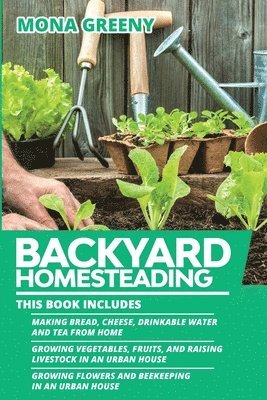 bokomslag Backyard Homesteading