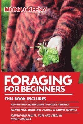 bokomslag Foraging For Beginners