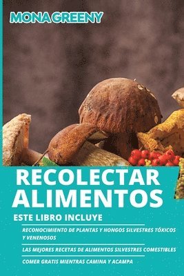 bokomslag Recolectar alimentos