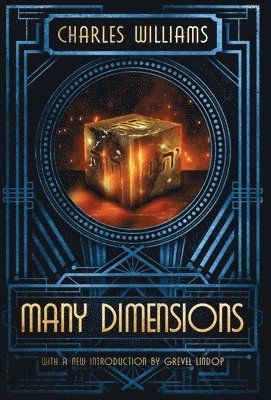 bokomslag Many Dimensions