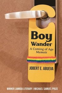 bokomslag Boy Wander