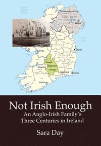 bokomslag Not Irish Enough