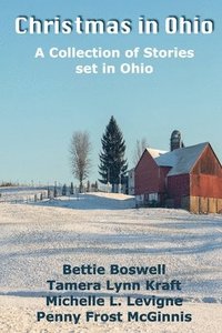 bokomslag Christmas In Ohio