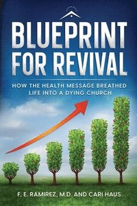 bokomslag Blueprint for Revival