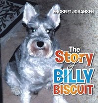 bokomslag Story of Billy Biscuit