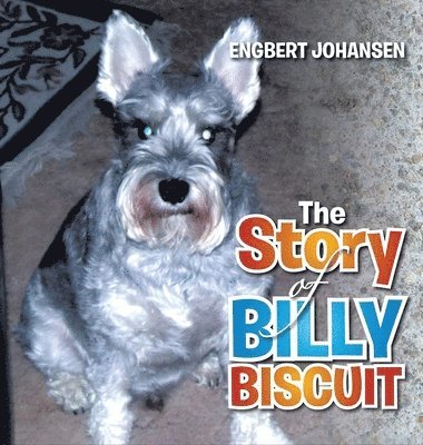bokomslag Story of Billy Biscuit
