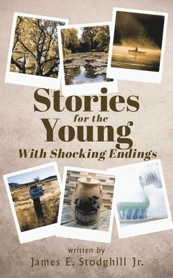 bokomslag Stories for the Young