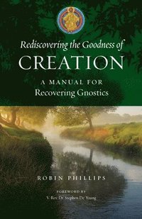 bokomslag Rediscovering the Goodness of Creation