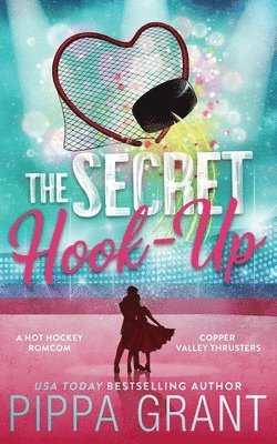 bokomslag Secret Hook Up
