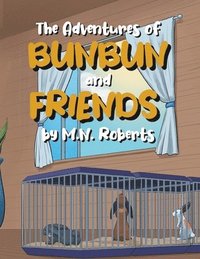 bokomslag Adventures of Bunbun and Friends