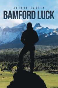 bokomslag Bamford Luck