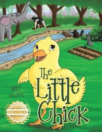 bokomslag Little Chick