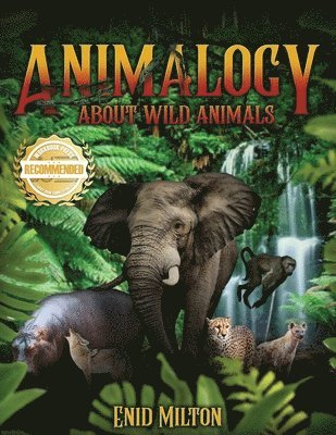 Animalogy 1