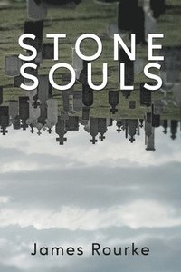 bokomslag Stone Souls