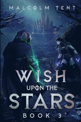 bokomslag Wish Upon the Stars 3