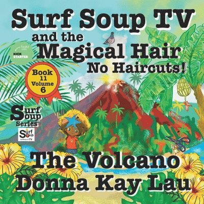 Donna Kay Lau, Donna  Kay Lau, Donna Kay Lau - Surf Soup TV and the Magical Hair, Häftad