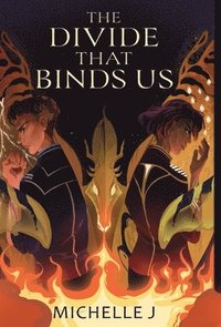 bokomslag Divide that Binds Us